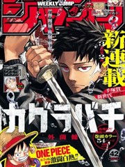 黑白猎人 漫画改编海报